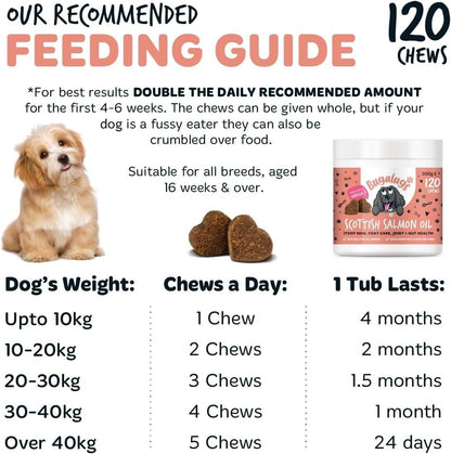 Bugalugs 100% Pure Salmon Oil for Dogs, Cats & Pets 500Ml, Healthy Skin & Coat